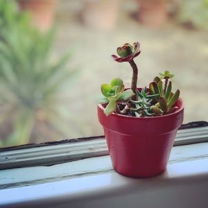 Meet your Posher, Leanne